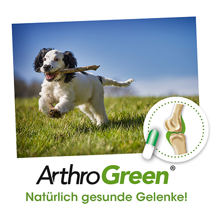 ArthroGreen plus 100 Kapseln