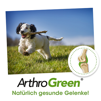 ArthroGreen plus 330g