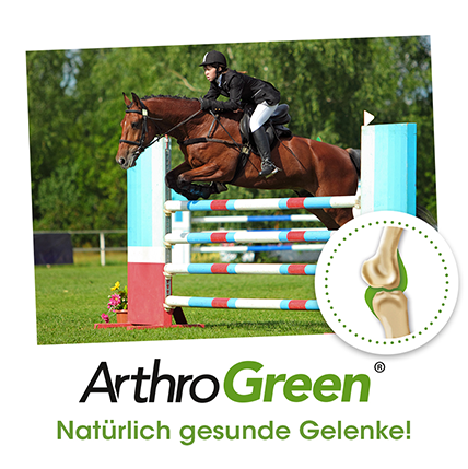 ArthroGreen Sport 700g