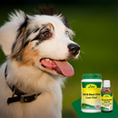 Bio Fell & Haut Vital Öl 100ml