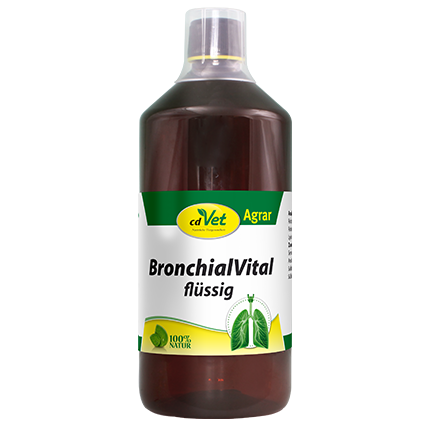 BronchialVital flüssig 10 Liter