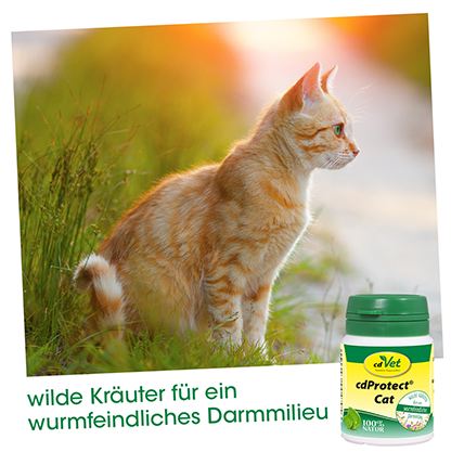 cdProtect® Cat 25 g