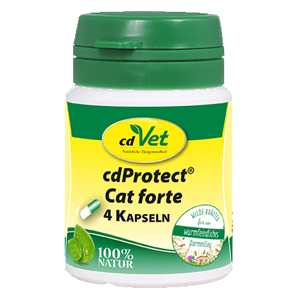 cdProtect Cat forte 4 Kapseln