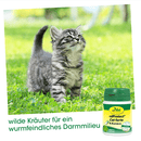 cdProtect Cat forte 4 Kapseln
