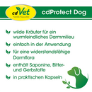cdProtect Dog