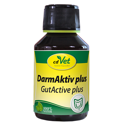 DarmAktiv plus 100ml