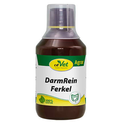 DarmRein Ferkel 500ml