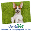 dentaVet Gel 35 g