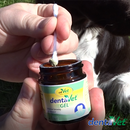 dentaVet Gel 35 g