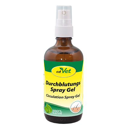 Durchblutungs Spray Gel 100 ml