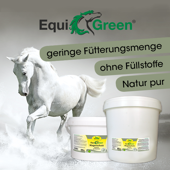 EquiGreen Magenschutz 4 kg