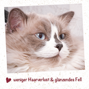 feliTATZ Bio-HaarballenÖl 50 ml