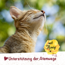 feliTATZ Bronchial 50ml