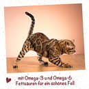 feliTATZ FellGlanz 50ml