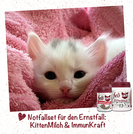 feliTATZ Kittenmilch 350 g