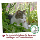 feliTATZ Magenschutz 25 g