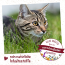 feliTATZ WK-Mix 24 Kapseln