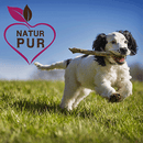 Fit-Crock Active Lamm Mini 10 kg