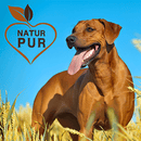 Fit-Crock Basic Rind Maxi 10 kg