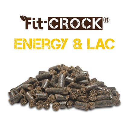 Fit-Crock Energy&Lac 10 kg