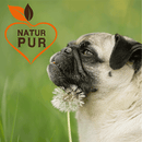 Fit-Crock Sensitive Lamm Mini 10 kg