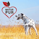 Fit-Crock Spezial Rind 10 kg