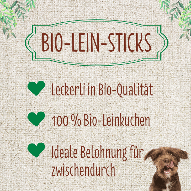 Fit-Hap Bio-Lein-Sticks 1 kg