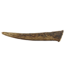 Fit-Hap Geweihmineral-Snack XS (25-50 g)