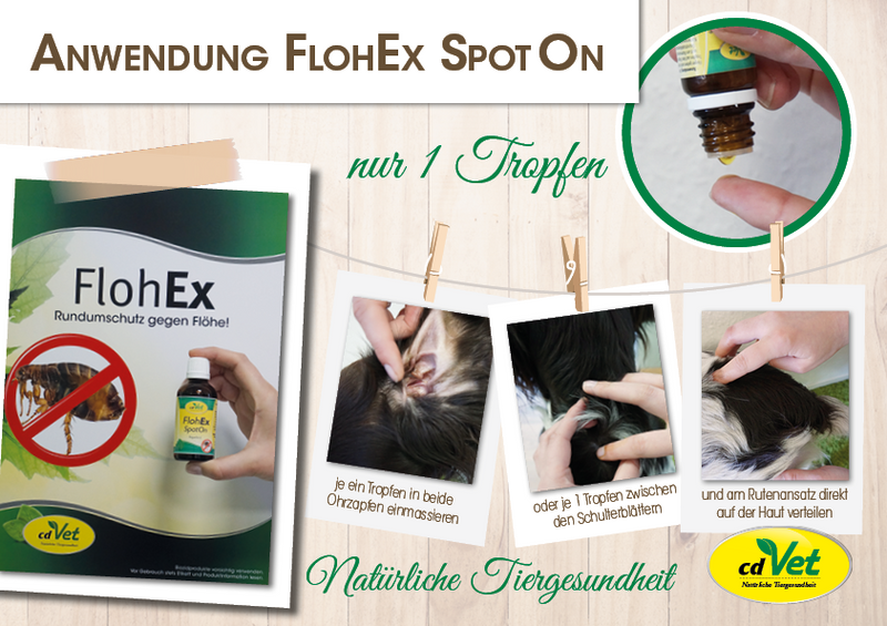 FlohEx SpotOn 50 ml