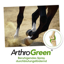 ArthroGreen Tenso Spray-Lotion 100 ml