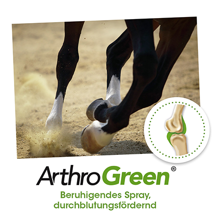 ArthroGreen Tenso Spray-Lotion 50 ml