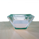 insektoVet Spray 1 Liter