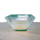 insektoVet Total 100ml