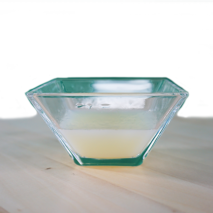 insektoVet Total 500ml