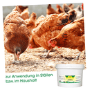 Kieselgur Liquid Powder 2kg