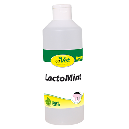 LactoMint 2,5 kg