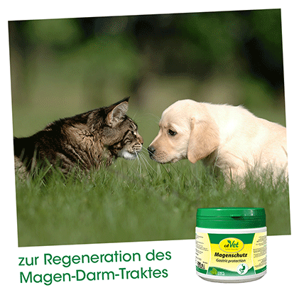 Magenschutz 200 g