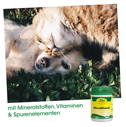 MicroMineral Hund & Katze 500g