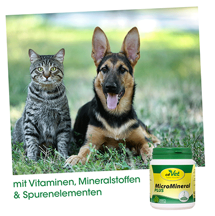 MicroMineral plus Hund & Katze 25kg