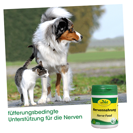 Nervennahrung 180g