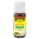 privet Bronchial 250ml