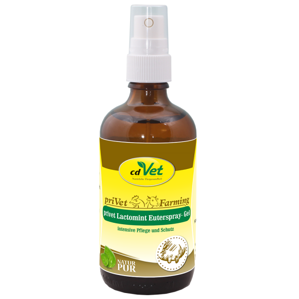 privet LactoMint Euterspray-Gel 100ml