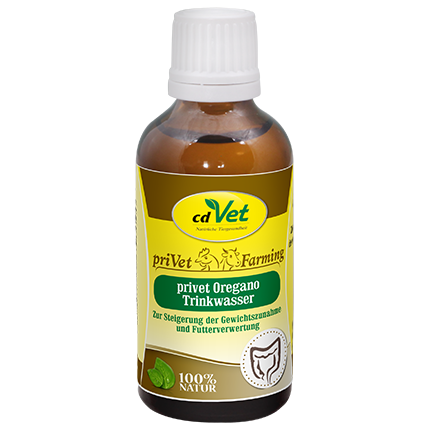 privet Oregano Trinkwasser 50ml