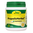 PropolisHerbal 100 Kapseln