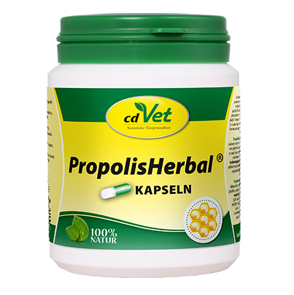 PropolisHerbal 100 Kapseln