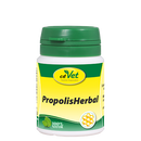 PropolisHerbal 450g
