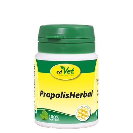 PropolisHerbal 450g