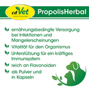 PropolisHerbal 450g