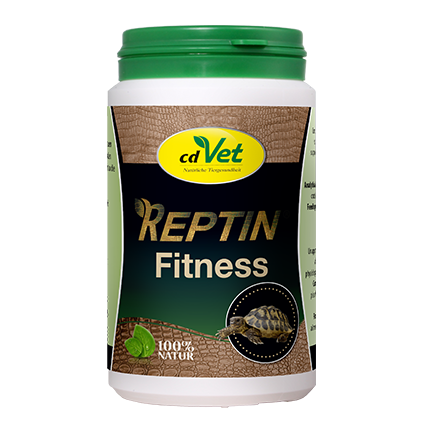 REPTIN Fitness 40g