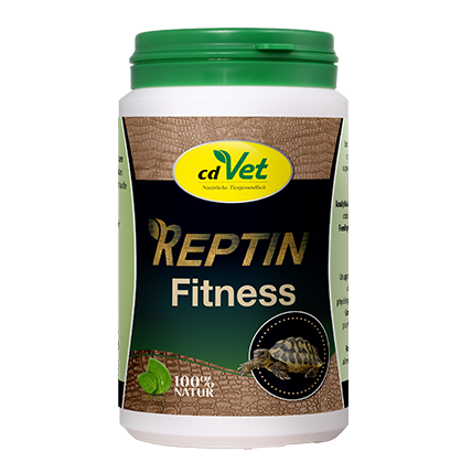 REPTIN Fitness 100g